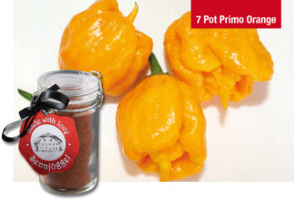 Gewürz mit Chili 7 Pot Primo Orange
